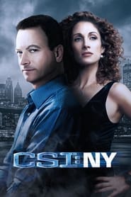 CSI: NY Season 1