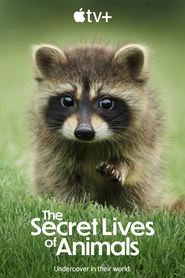 The Secret Lives of Animals Season 1