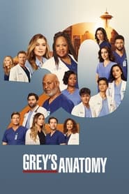 Grey’s Anatomy Season 22