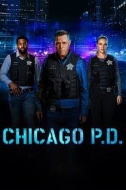 Chicago P.D. Season 13