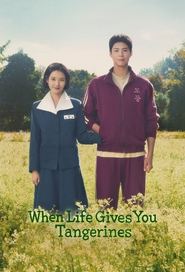 When Life Gives You Tangerines Season 1