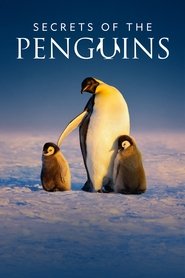 Secrets of the Penguins Season 1