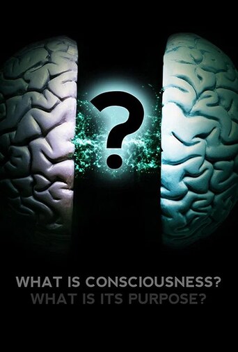 What Is Consciousness? What Is Its Purpose?