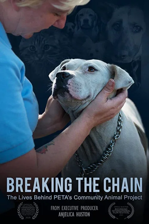 Breaking the Chain Breaking the Chain