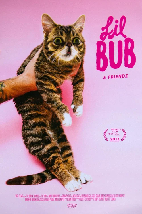 Lil Bub & Friendz Lil Bub & Friendz