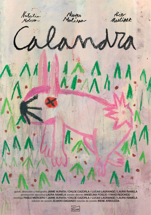 Calandra Calandra