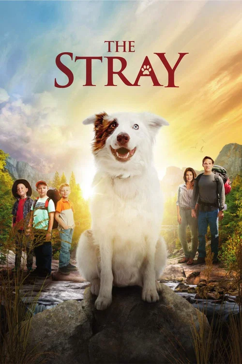 The Stray The Stray
