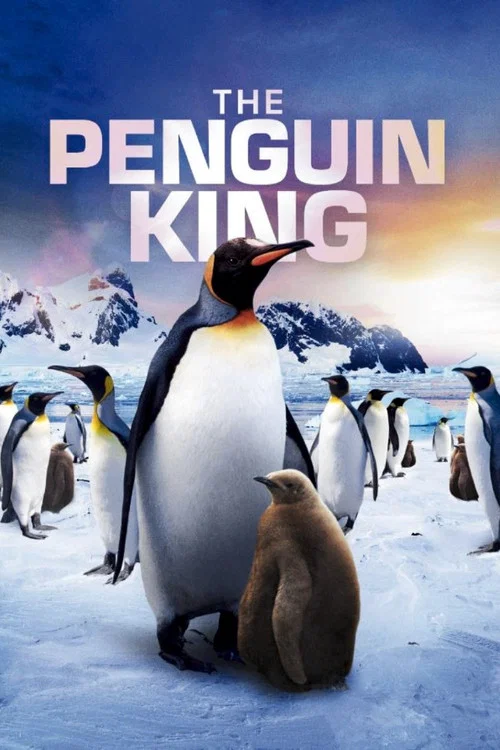 Penguins Penguins