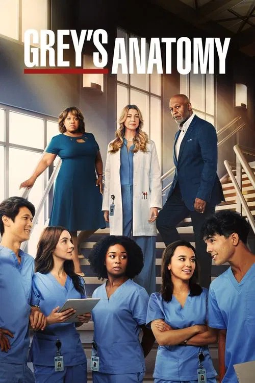 Grey’s Anatomy Season 9 Episode 12 Grey’s Anatomy Season 9 Episode 12
