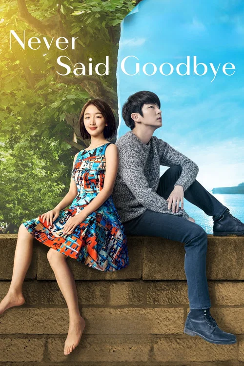 Never Said Goodbye Never Said Goodbye