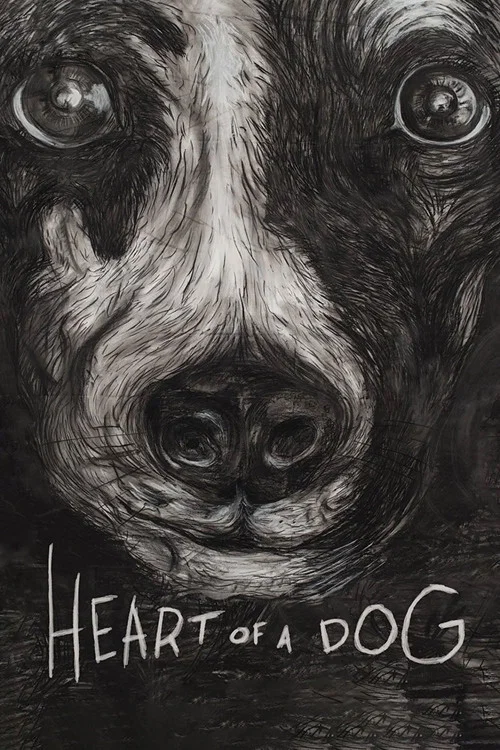Heart of a Dog Heart of a Dog