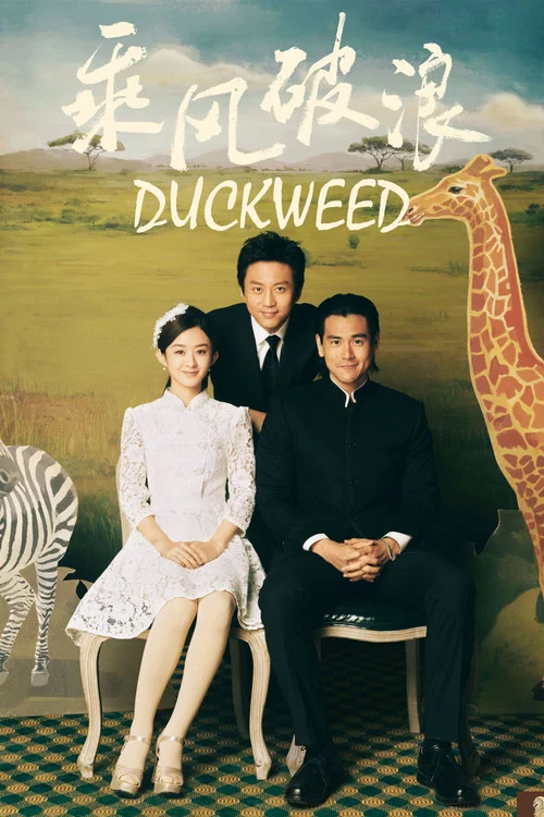 Duckweed Duckweed