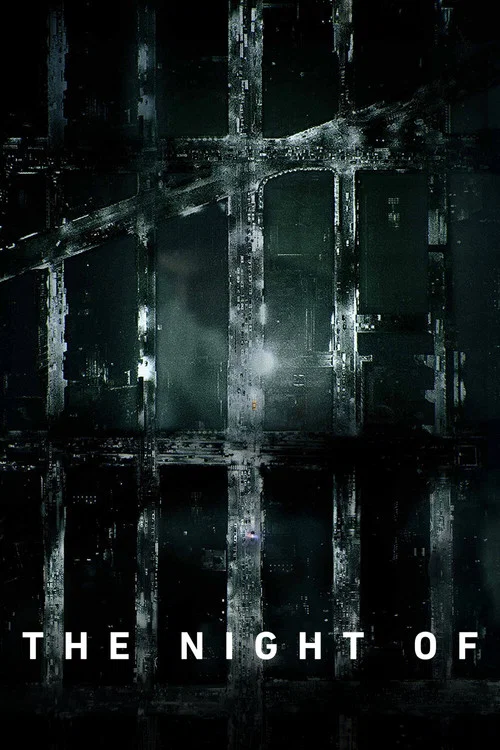 The Night Of Season 1 Episode 2