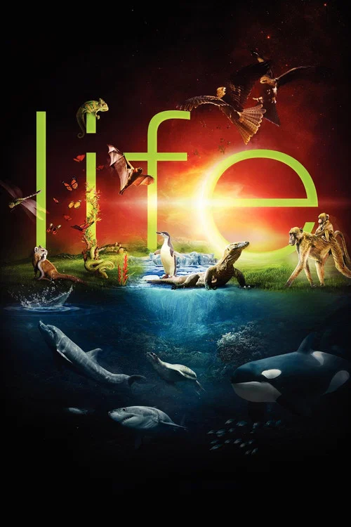 Life Season 1 Episode 9
