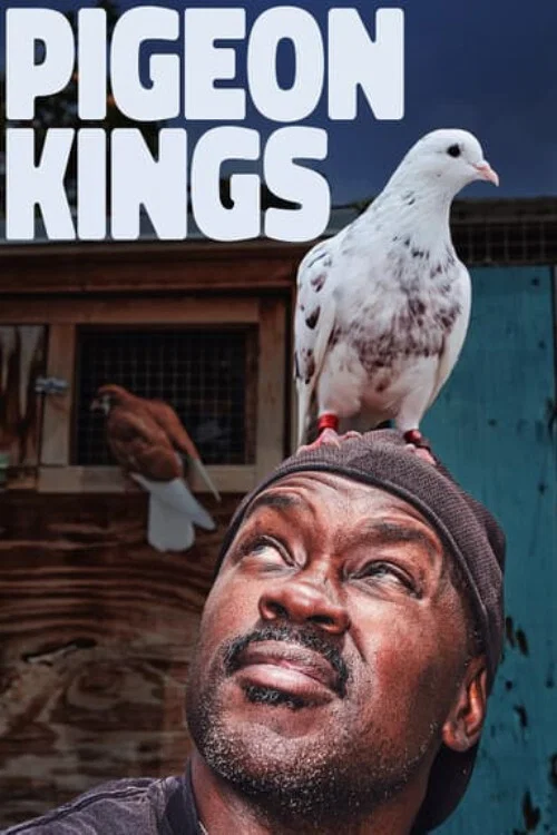 Pigeon Kings Pigeon Kings